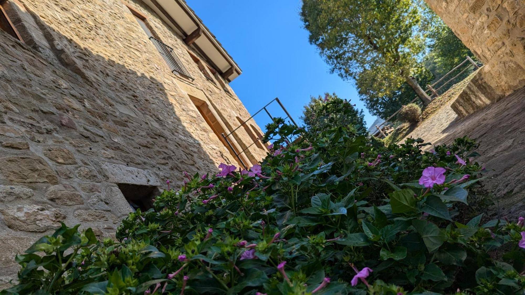 Apartamento Mas El Carrer Santa Pau Exterior foto